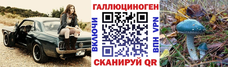 Купить где  Велиж  Галлюциногенные грибы Magic Shrooms 